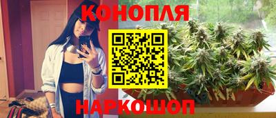 ГАЛЛЮЦИНОГЕННЫЕ ГРИБЫ Камышлов
