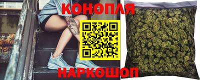 ГАЛЛЮЦИНОГЕННЫЕ ГРИБЫ Камышлов